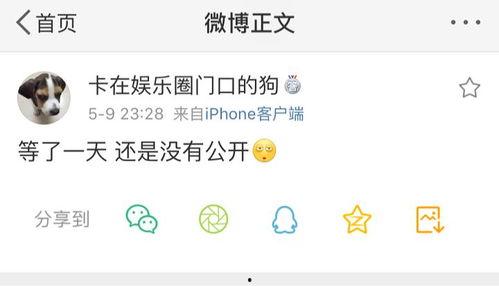 吃瓜等爆料免费阅读,吃瓜群众免费阅读，独家爆料大揭秘  第2张