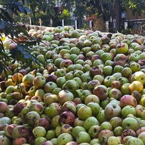 礼泉县爆料新闻最新情况,突发事件引发社会关注  第1张